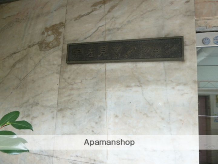 宇佐見マンション505-のその他画像