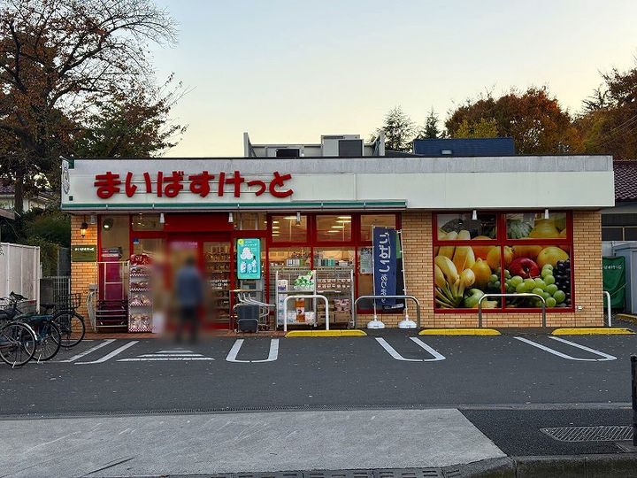 レオネクストジョイ アゼリアⅡの周辺