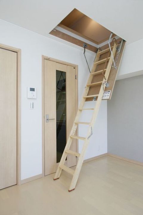 プリンストンのその他画像