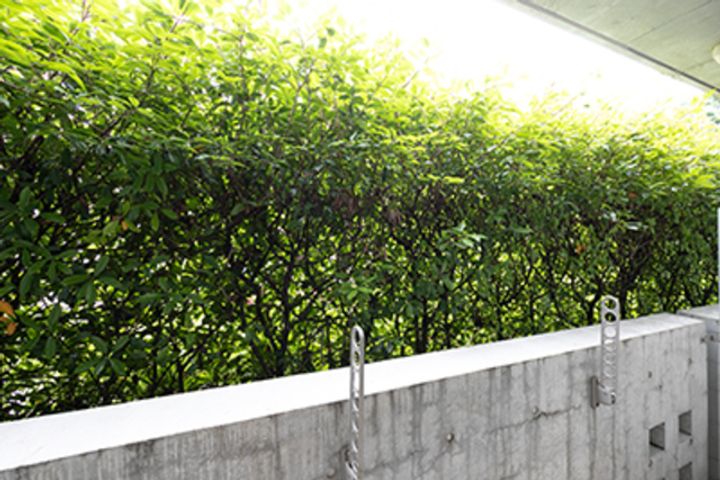 ル・ボワ武蔵境のその他画像