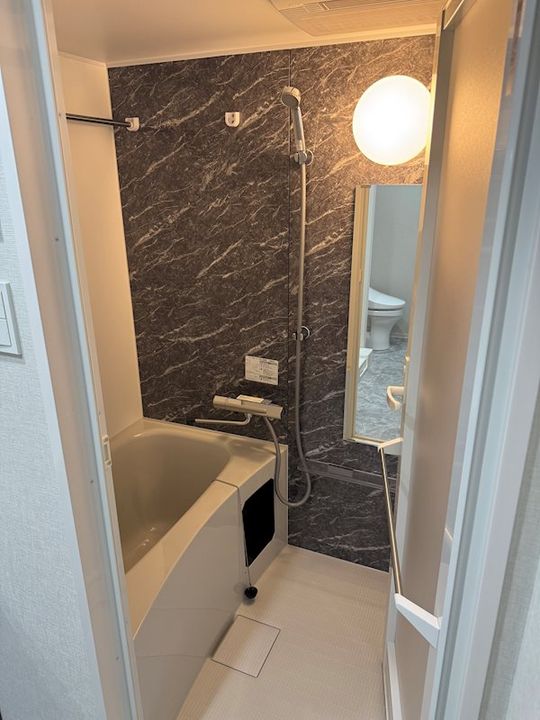 東京都板橋区志村3丁目の賃貸マンションの風呂