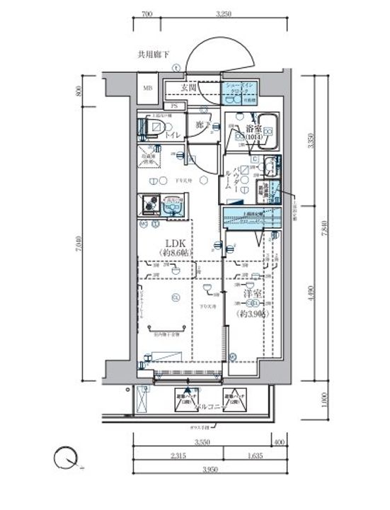 東京都板橋区志村3丁目の賃貸マンションの間取り