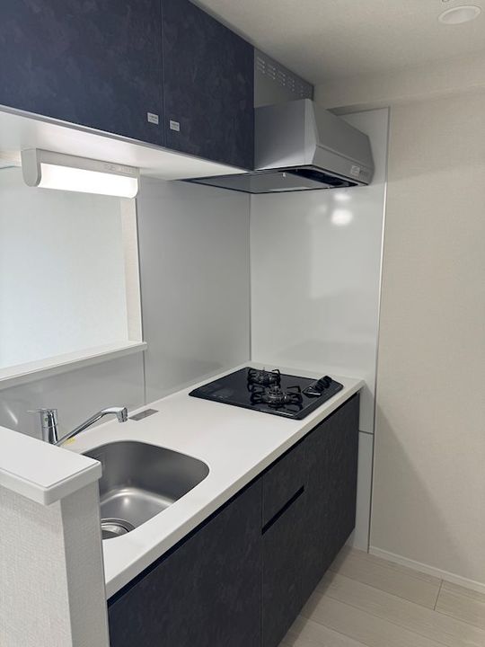 東京都板橋区志村3丁目の賃貸マンションのキッチン