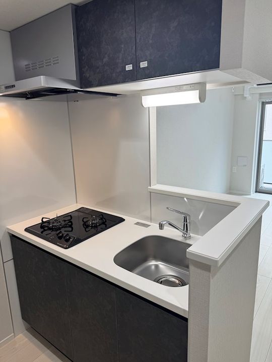 東京都板橋区志村3丁目の賃貸マンションのキッチン