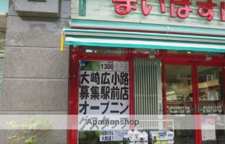 セジョリ大崎の周辺