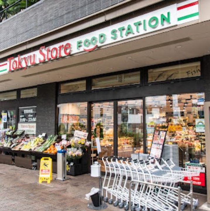 スタイリオ旗の台Ⅱの周辺