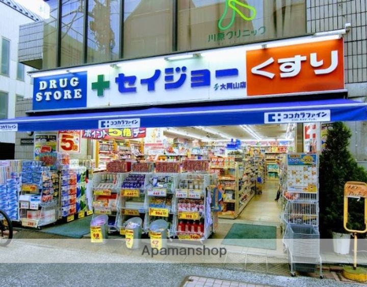 カイトシオン大岡山104の周辺