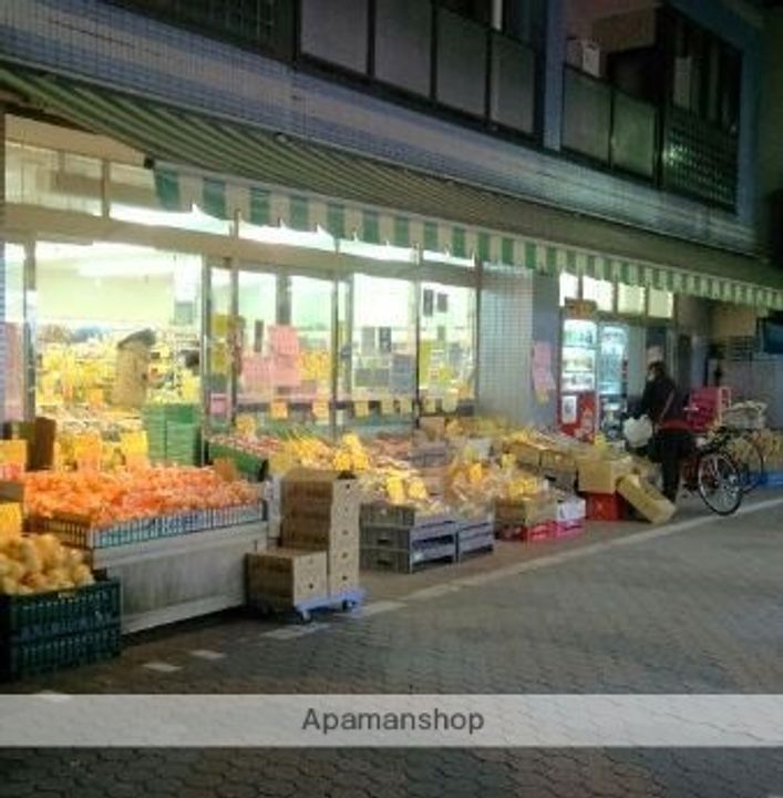 セジョリ大森町の周辺