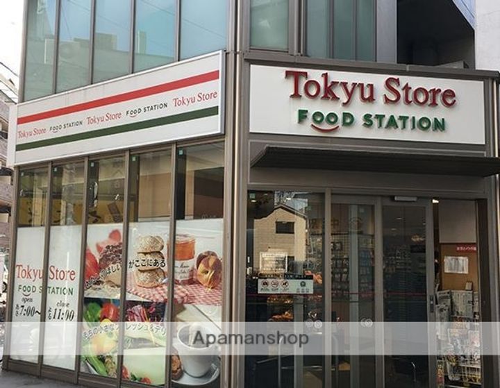 東京都品川区東中延2丁目(一戸建)の賃貸物件の周辺