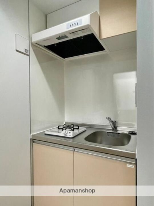 ハイツ多摩川 B号棟105のキッチン