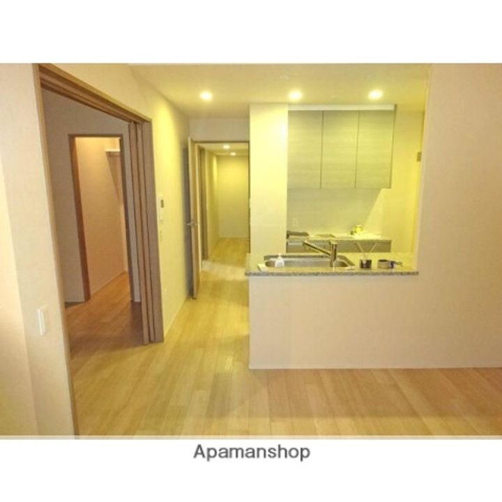 ザ・プレミアスカイ品川中延の内装