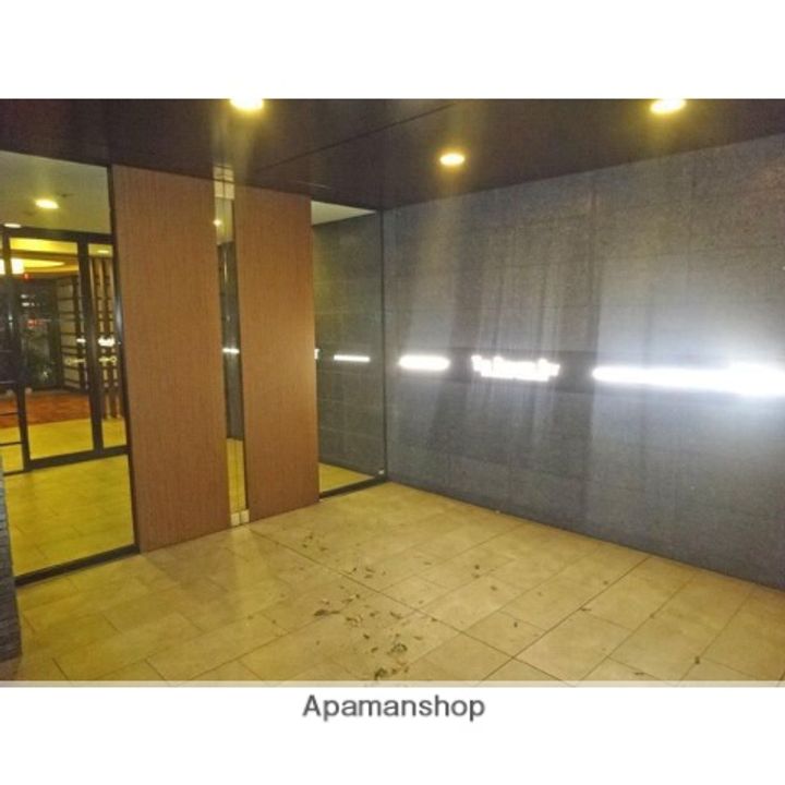 ザ・プレミアスカイ品川中延の外観