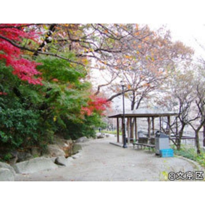 キャップス早稲田の周辺