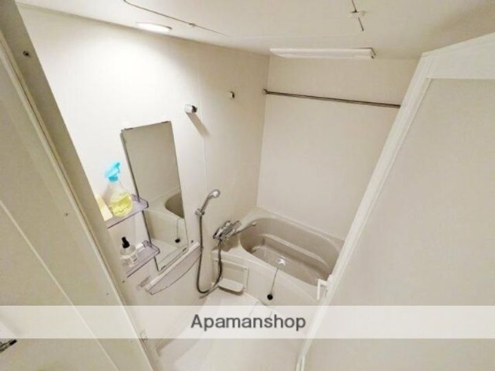 東京都豊島区南大塚3丁目の賃貸マンションの居間