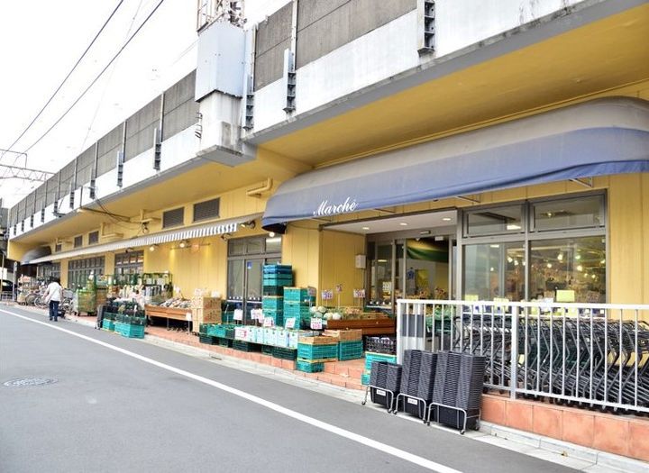 東京都墨田区緑1丁目の賃貸マンション803号室の周辺