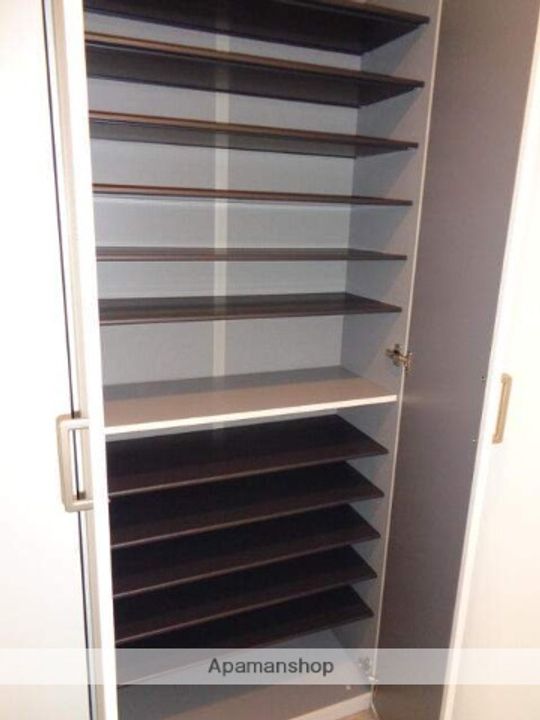 東京都墨田区東駒形1丁目の賃貸マンションの内装