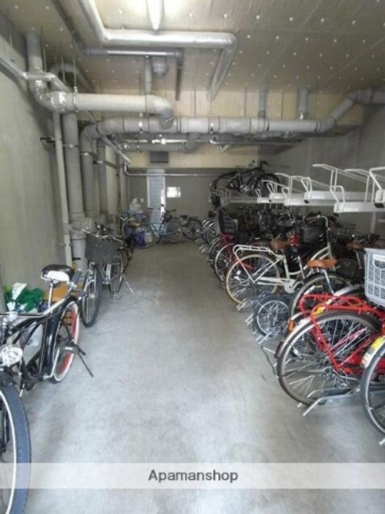 レシオイシワラのその他画像