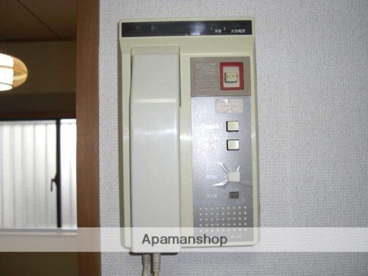 アダマスのその他画像