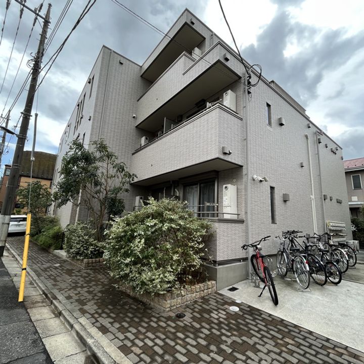 フィカーサ いちょうの木の周辺