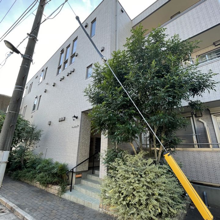 フィカーサ いちょうの木の周辺