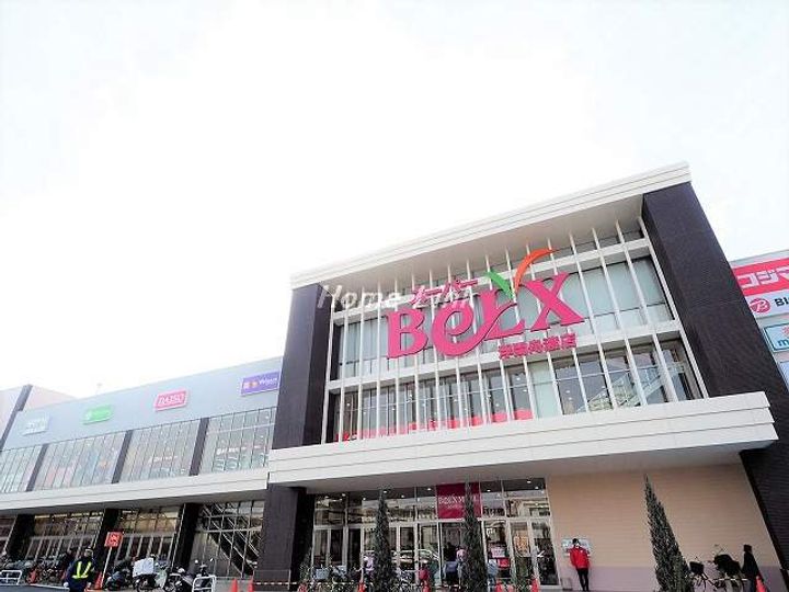 フィカーサ いちょうの木の周辺