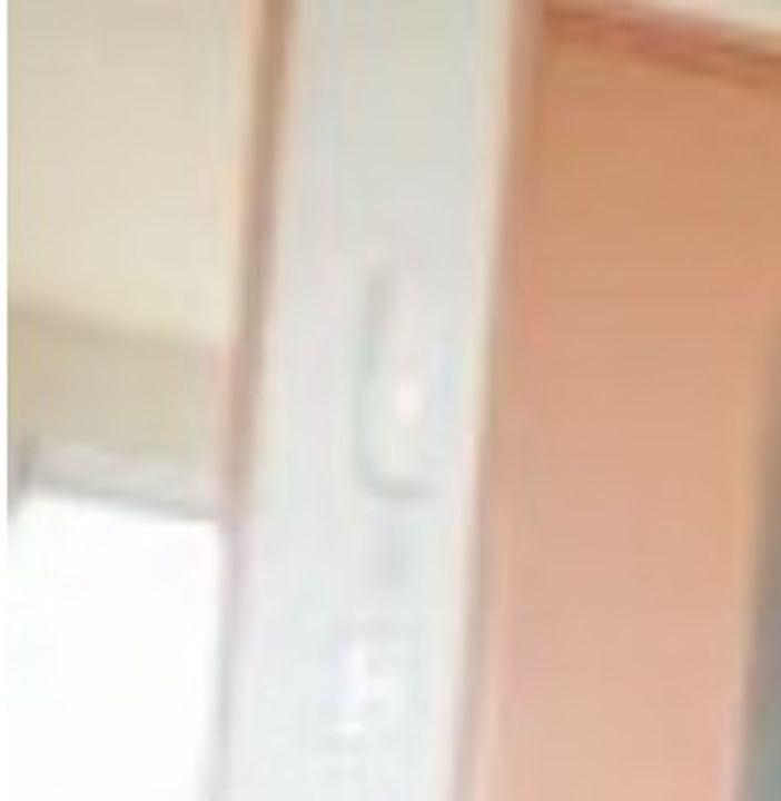 レオパレスコーポリッチⅡのその他画像