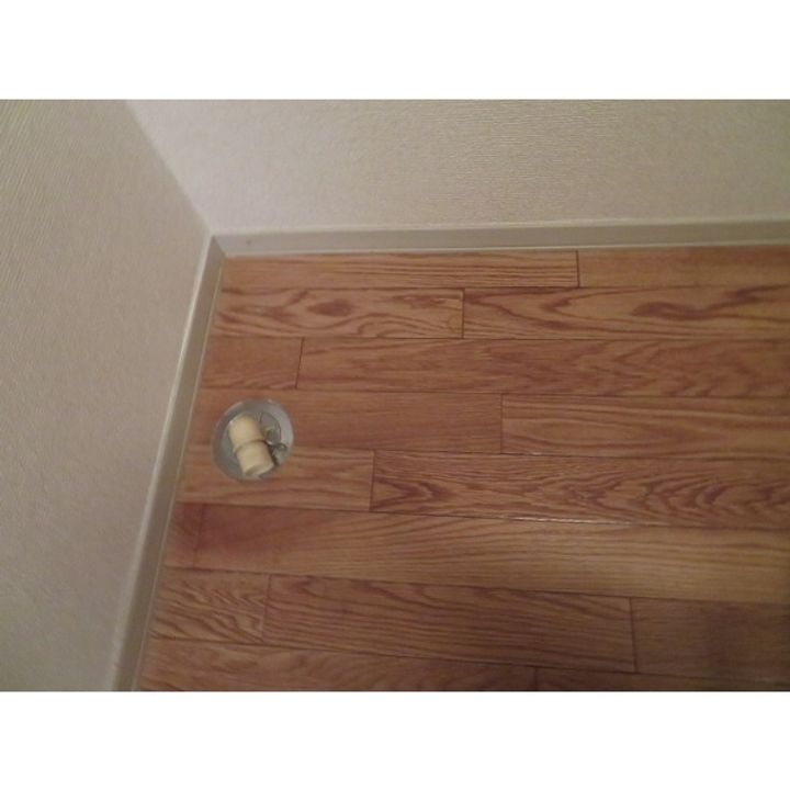 東京都新宿区早稲田南町の賃貸アパートの内装