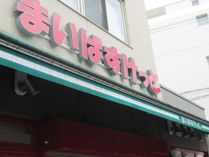 セレスティア白鷺IIの周辺