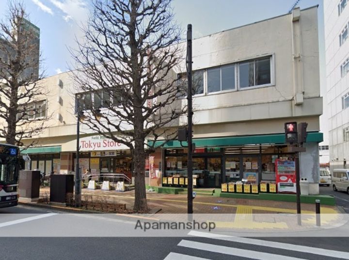 東京都武蔵野市中町3丁目の賃貸マンションの周辺