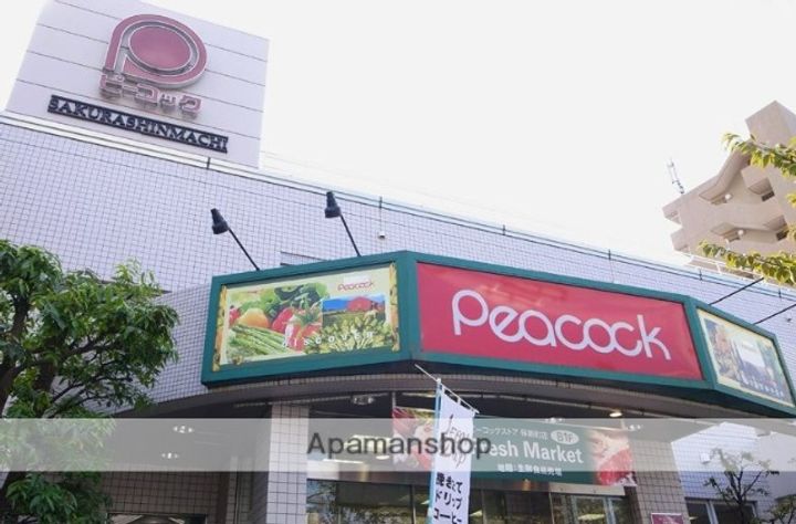 ルミークアン桜新町ノースの周辺