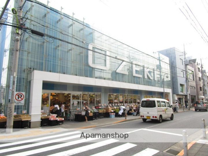 東京都世田谷区尾山台3丁目の賃貸マンションの周辺