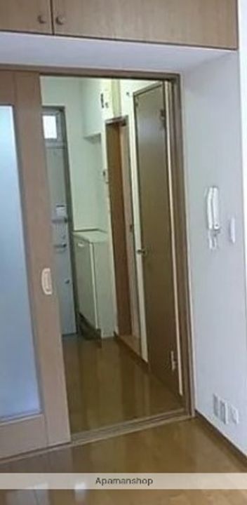 アミアンイズミのその他画像