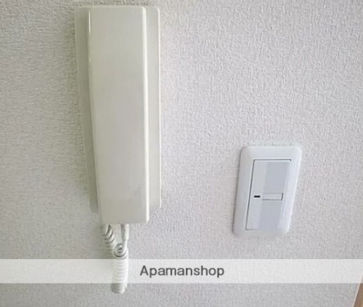 アミアンイズミのその他画像
