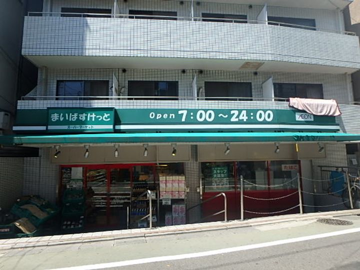 THEパームス代々木上原コスモテラスの周辺