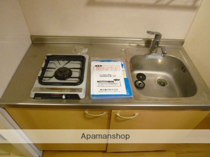 東京都小金井市緑町5丁目の賃貸マンションの玄関