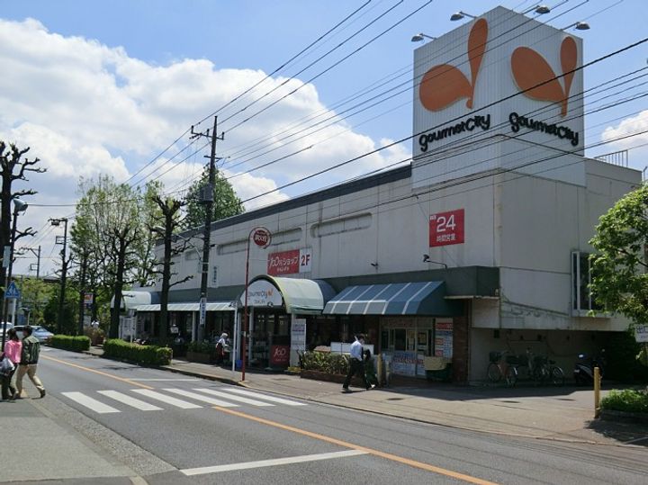 レオパレスさくらブリッサの周辺