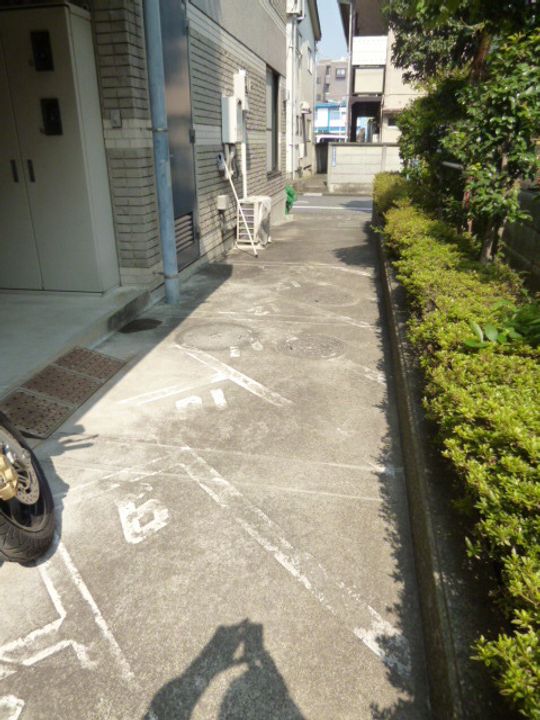 サンフローラのその他画像