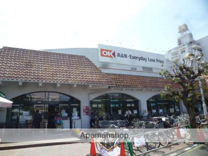 メゾン国分寺の周辺