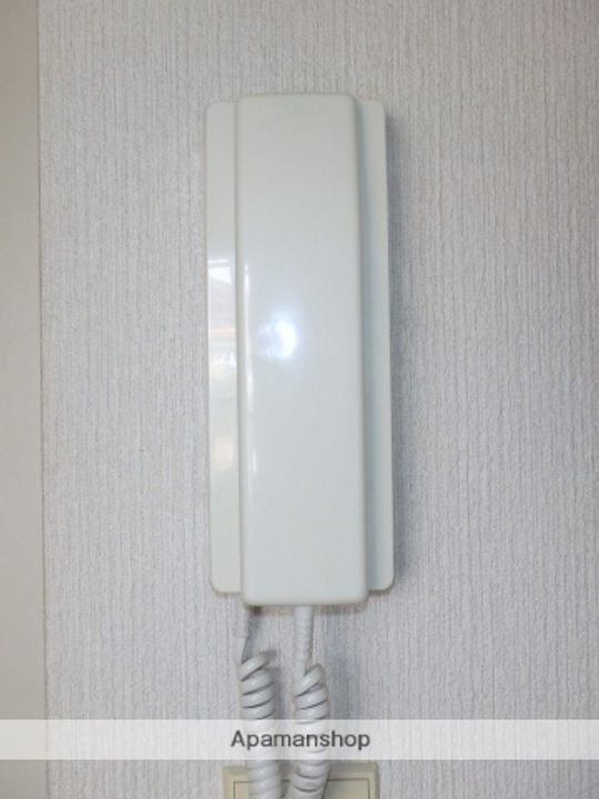 東京都小金井市前原町3丁目の賃貸アパートの内装