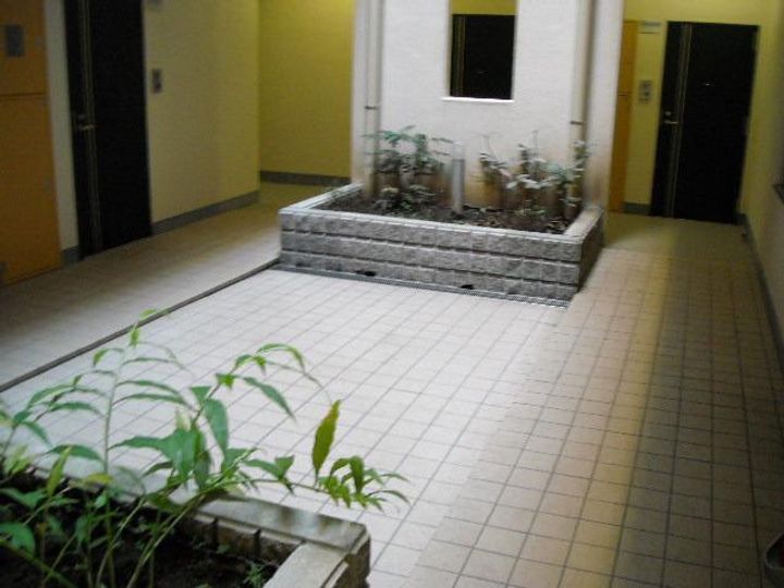 AZALEA恋ヶ窪Ⅱの内装