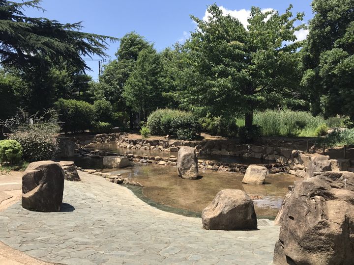 AZALEA恋ヶ窪Ⅱの周辺