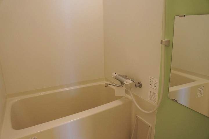 レオネクストてんまやの風呂