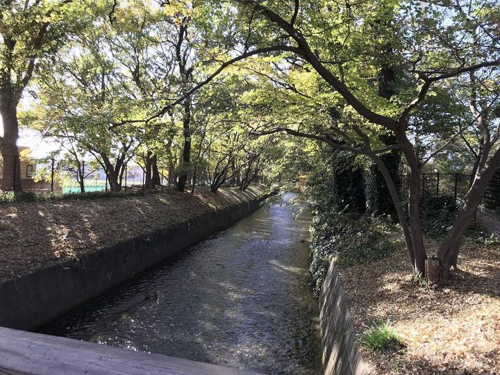 クレイノソレイユ立川の周辺