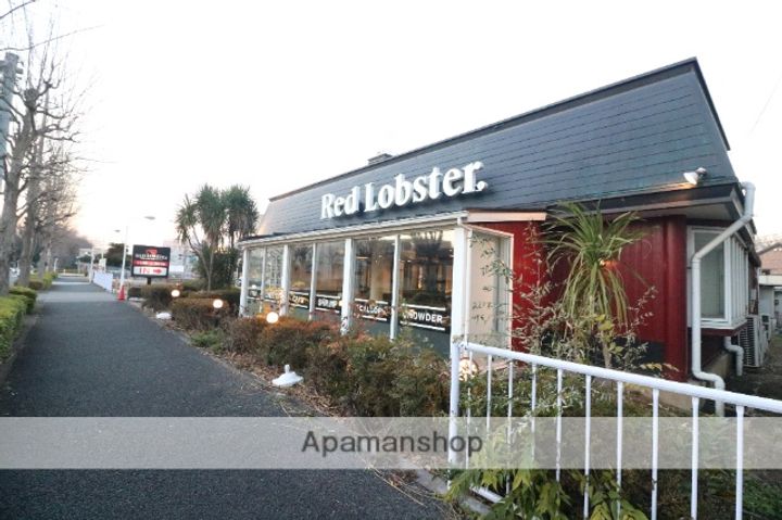 CHELSEA Ⅲの周辺