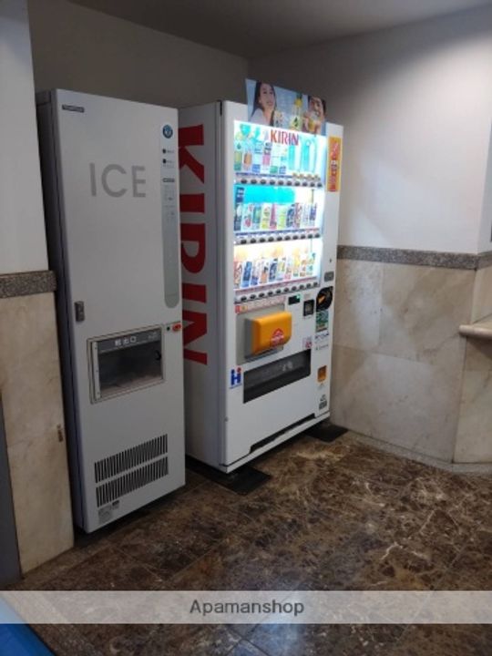 ロイヤルコート武蔵境107の内装
