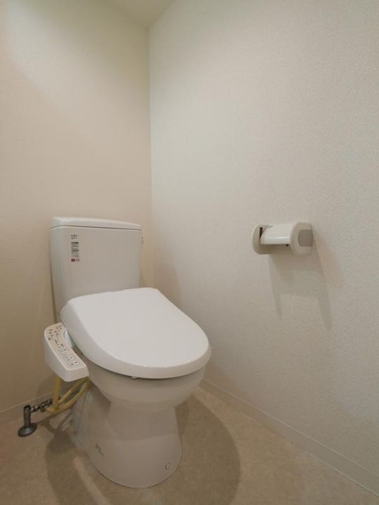 東京都板橋区三園2丁目の賃貸マンションの内装