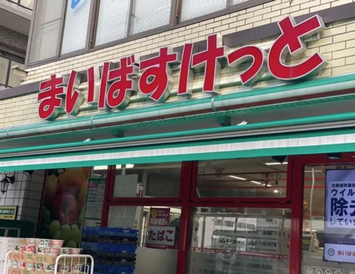 ペガサスステーションプラザ蒲田の周辺