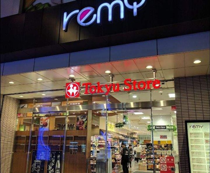 ルフォンプログレ品川大井の周辺