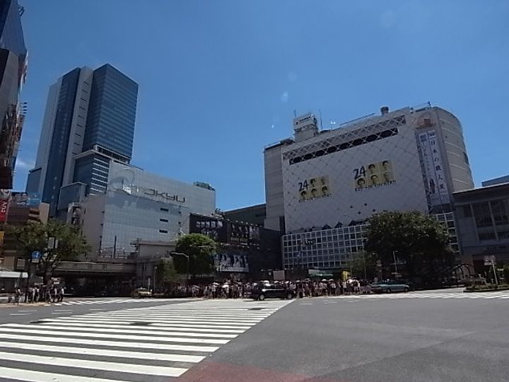 オーブレジデンス神南の周辺