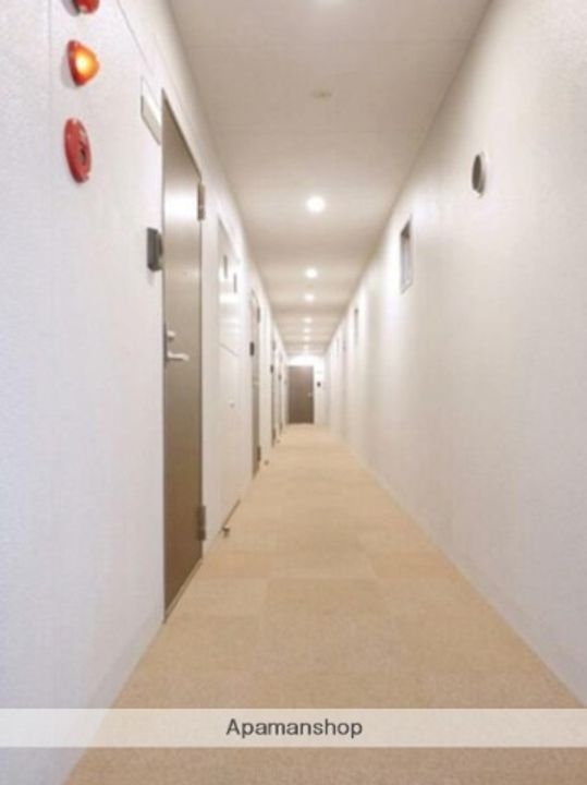 東京都江東区亀戸2丁目の賃貸マンションのその他画像